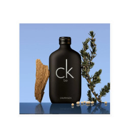 Perfume Calvin Klein Ck Be Unissex 100 ml