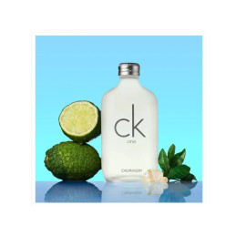 Perfume Calvin Klein Ck One Unissex