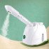 Vaporizador Facial Portátil Vapor De Ozônio Estética Limpeza Skincare